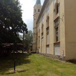 phoca_thumb_m_zmek kunn 223 Fotogalerie